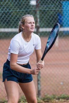 Bild 238 - dreyermedia open